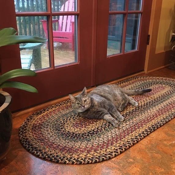 Joseph's Coat 778-JC Braided Rugs - The Fox Decor