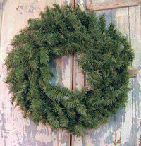 Canadian Pine Wreath - 24