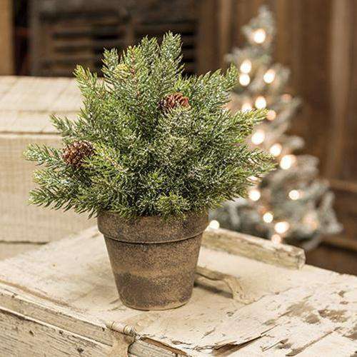 Frosted Spruce Sphere w/Pot, 9" Christmas CWI+ 