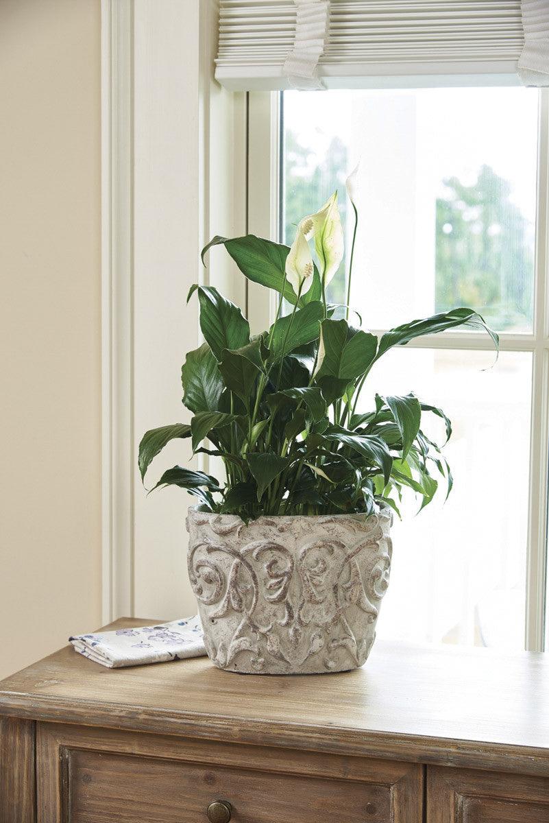 Damask Oval Cache Pot - Park Designs - The Fox Decor