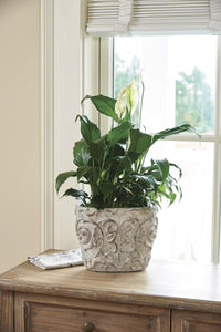 Thumbnail for Damask Oval Cache Pot - Park Designs - The Fox Decor