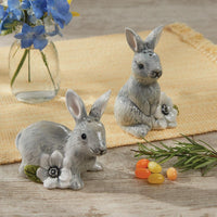 Thumbnail for Forever Spring Salt and Pepper Set Park Designs - The Fox Decor