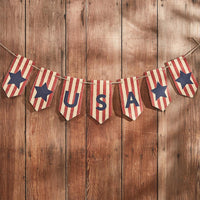 Thumbnail for Star Spangled USA Banner Park Designs - The Fox Decor