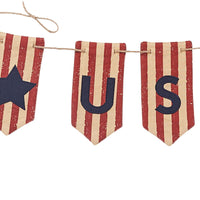 Thumbnail for Star Spangled USA Banner Park Designs - The Fox Decor