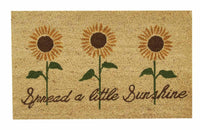 Thumbnail for Spread Sunshine Doormat Park Designs - The Fox Decor