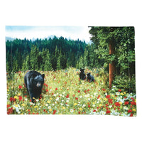Hello Bear Placemat - Set of 6 Park Designs - The Fox Decor