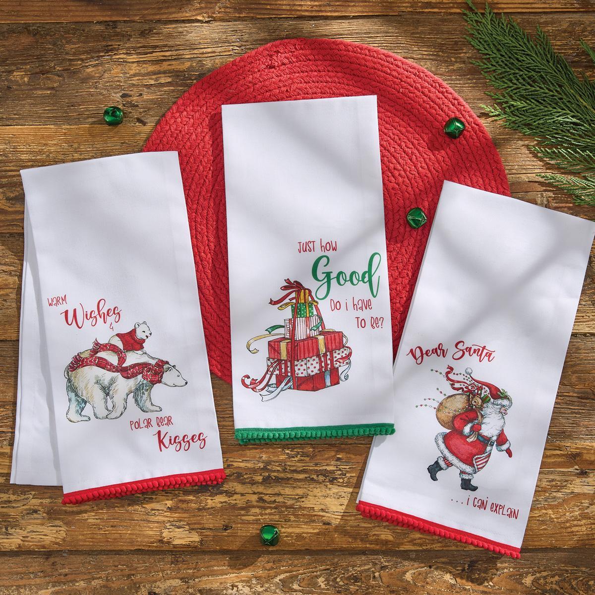 Just How Good Dishtowel - Set of 6 Park Designs - The Fox Decor