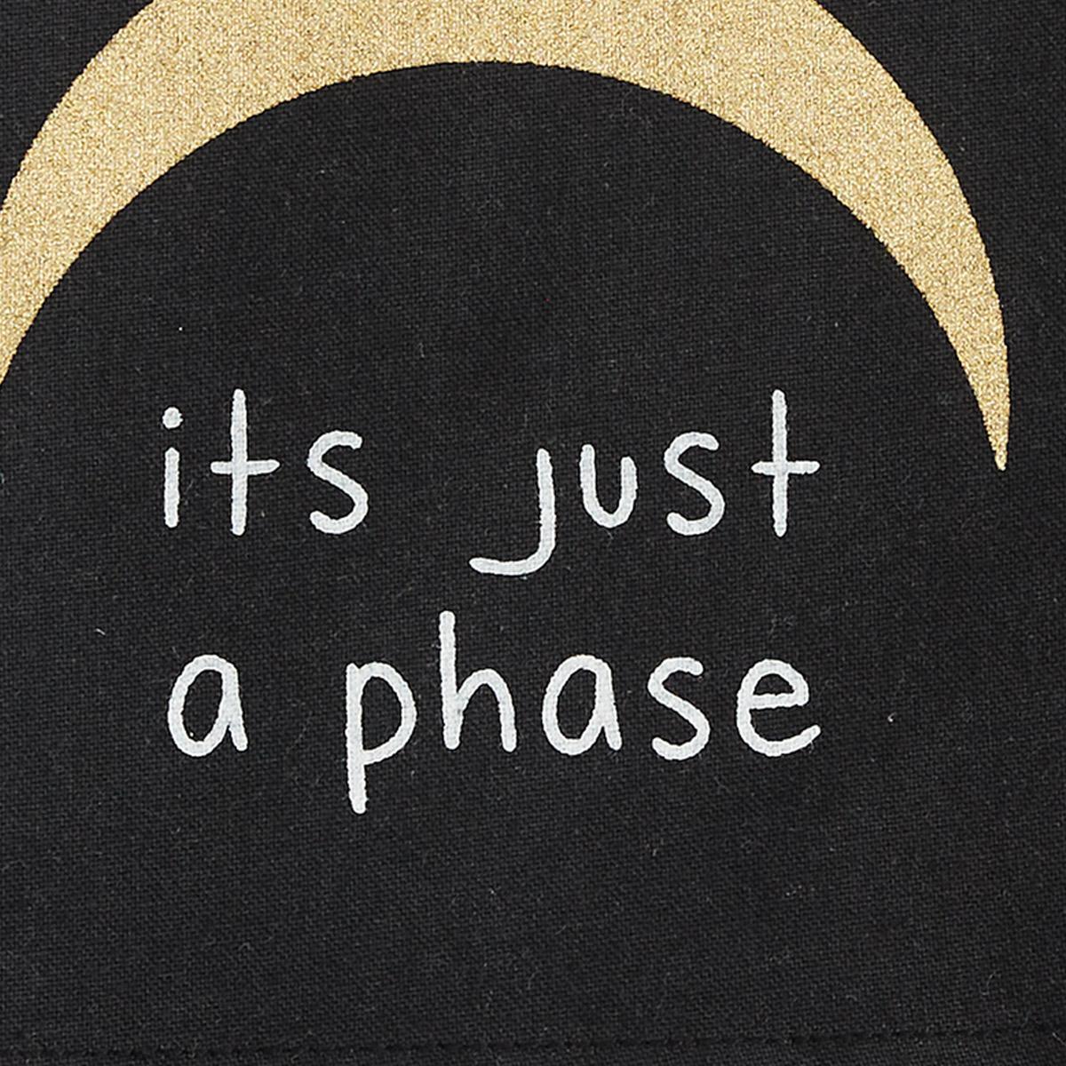 It'S Just A Phase Dishtowel - Set of 2 Park Designs - The Fox Decor