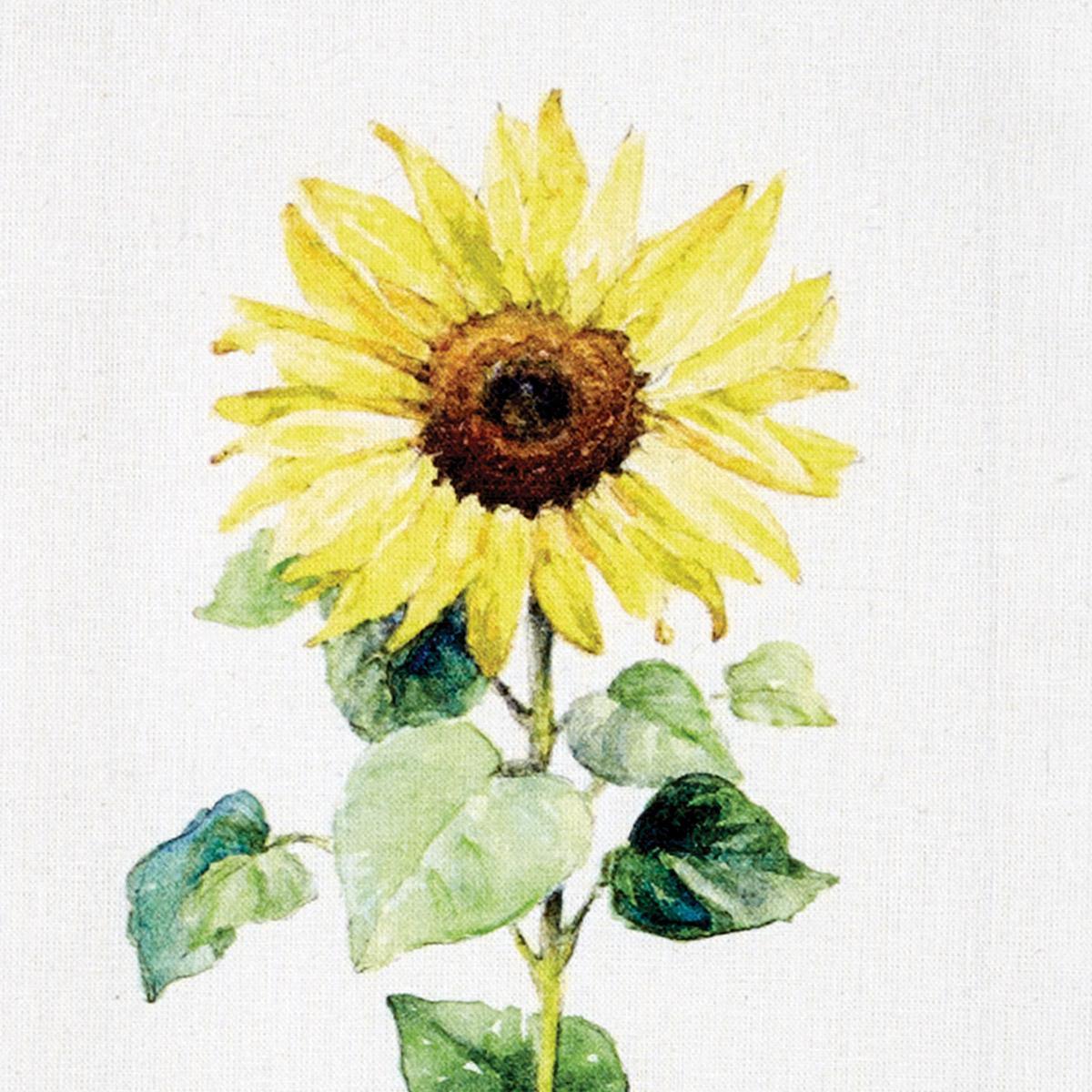 Follow The Sun Dishtowel - Set of 6 Park Designs - The Fox Decor