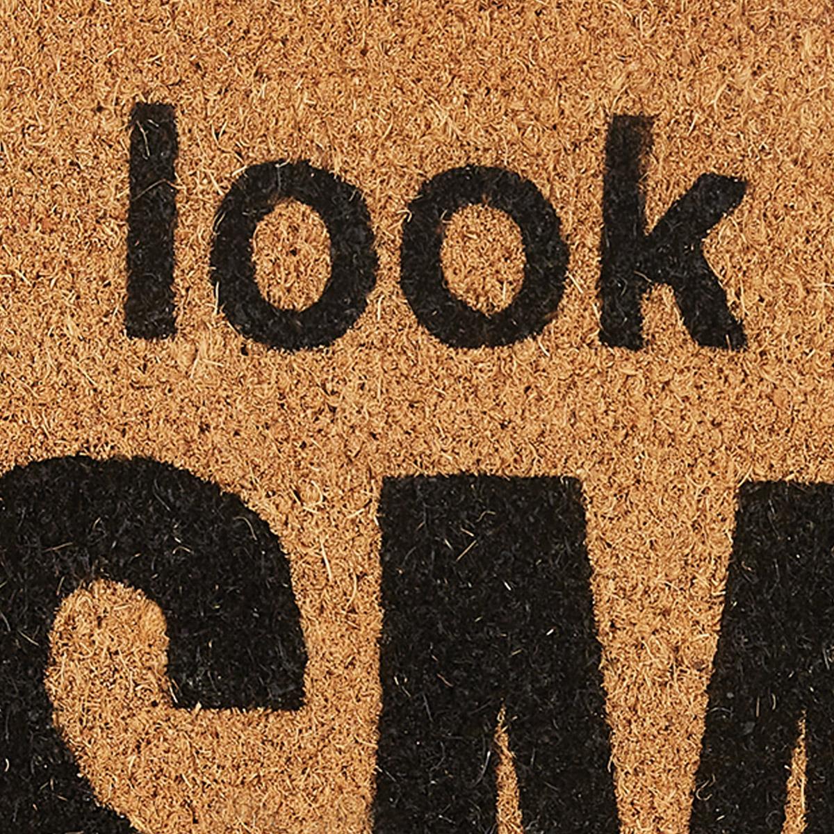 Look Up And Smile At The Camera Doormat - The Fox Decor