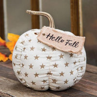 Hello Fall Star Pumpkin - The Fox Decor