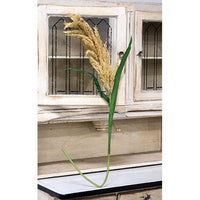 Pampas Grass Spray 435 - The Fox Decor