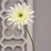 Thumbnail for Blooming Daisy Stem White - The Fox Decor