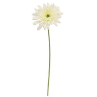 Thumbnail for Blooming Daisy Stem White - The Fox Decor