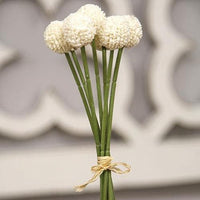 Thumbnail for White Billy Ball Bouquet - The Fox Decor