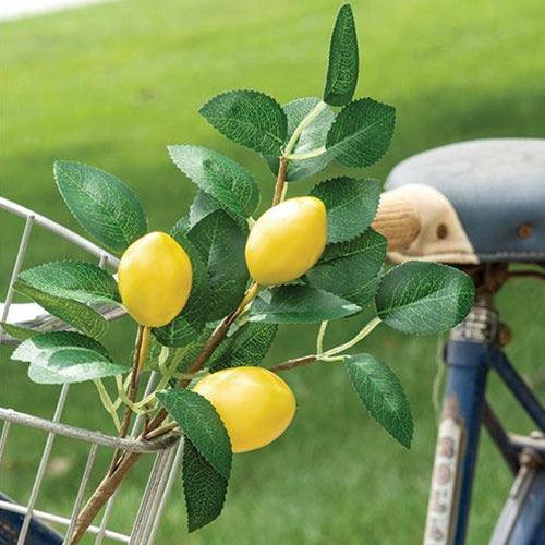 Fresh Picked Lemon Spray - The Fox Decor
