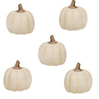 5 Set Mossy Stem Cream Pumpkins - The Fox Decor