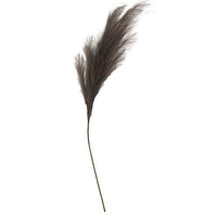 Weeping Pampas Grass Branch Gray - The Fox Decor