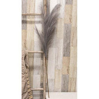 Weeping Pampas Grass Branch Gray - The Fox Decor