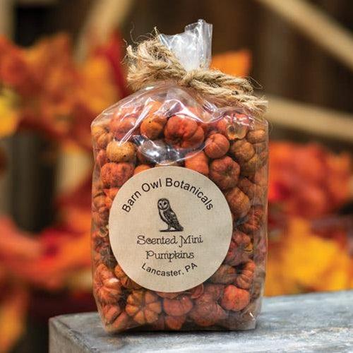 Scented Mini Pumpkins 3 Cups - The Fox Decor