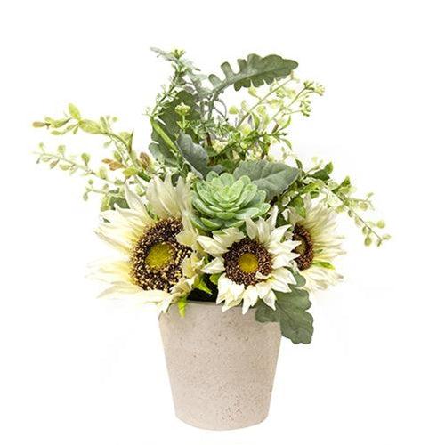 Sunwashed Succulent In Pot 10 - The Fox Decor