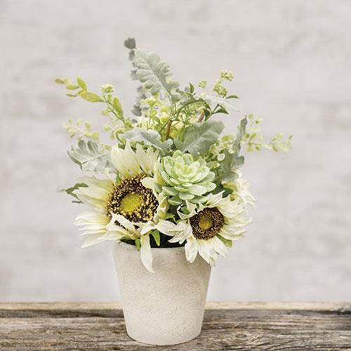Sunwashed Succulent In Pot 10 - The Fox Decor