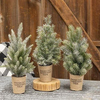Lg Frosted Tree w Paper Cup 3 Asstd - The Fox Decor