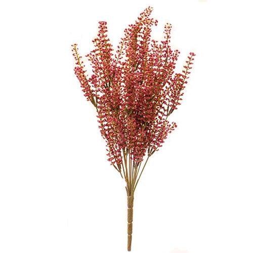 Bursting Astilbe Bush 21 Sangria