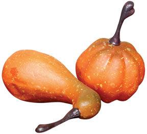 Mini Pumpkin Bowl Filler - The Fox Decor