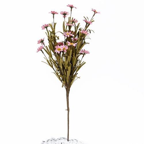Mini Mountain Daisy Bush Pink - The Fox Decor
