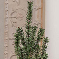 German Pine Tree in Galvanized Metal Pot 18 - The Fox Decor