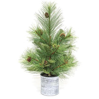 Forest Path Pine Tree in Pail 18 - The Fox Decor