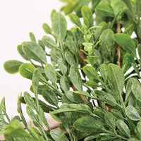 Heritage Boxwood Candle Ring 65 - The Fox Decor