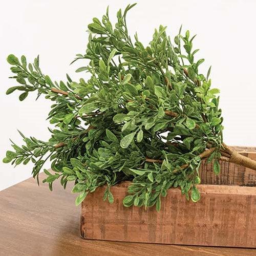 Heritage Boxwood Bush 19 - The Fox Decor