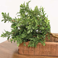 Heritage Boxwood Bush 19 - The Fox Decor