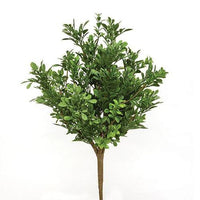 Heritage Boxwood Bush 19 - The Fox Decor