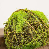 Mossy Twig Ball 6 - The Fox Decor