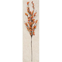 Thumbnail for Orange Berry Spray - The Fox Decor