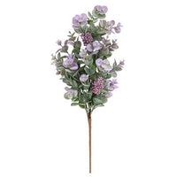 Thumbnail for Lavender Eucalyptus with Seeds Bush 19