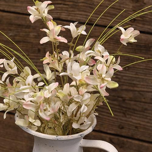 Cream & Pink Star Forsythia Bush - The Fox Decor