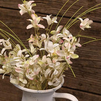 Cream & Pink Star Forsythia Bush - The Fox Decor