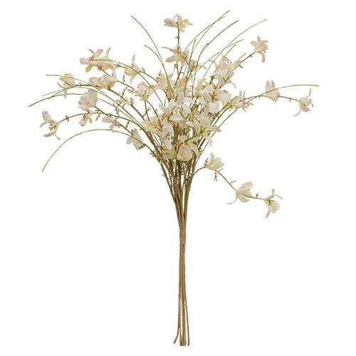 Cream & Pink Star Forsythia Bush - The Fox Decor