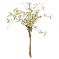 Cream & Pink Star Forsythia Bush - The Fox Decor