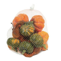 16 Pkg Colorguard Pumpkins & Gourds - The Fox Decor