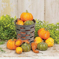 16 Pkg Colorguard Pumpkins & Gourds - The Fox Decor