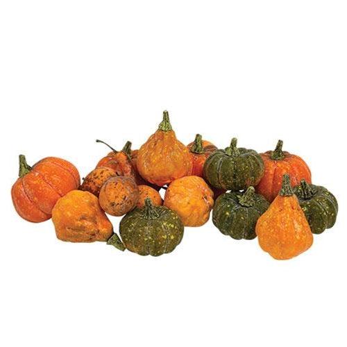 16 Pkg Colorguard Pumpkins & Gourds - The Fox Decor