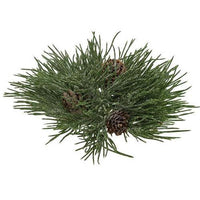 Mugo Pine Orb - The Fox Decor