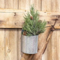 Mugo Pine Pick - The Fox Decor
