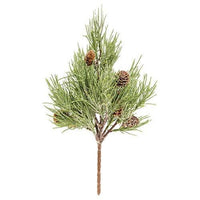 Mugo Pine Pick - The Fox Decor