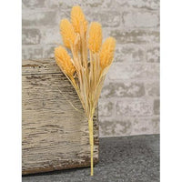 Amber Waves Bush - The Fox Decor